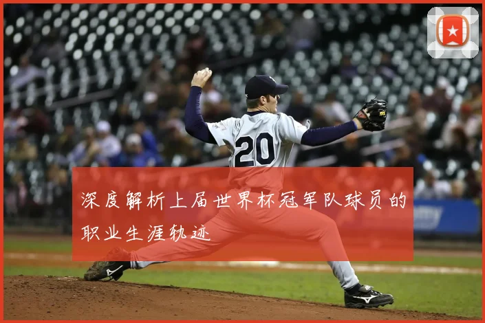 深度解析上届世界杯冠军队球员的职业生涯轨迹
