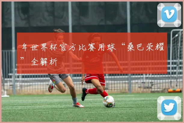 年世界杯官方比赛用球“桑巴荣耀”全解析