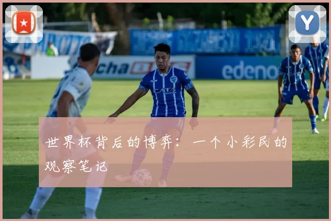 世界杯背后的博弈：一个小彩民的观察笔记