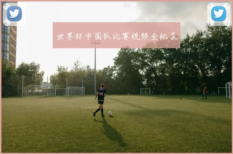 世界杯中国队比赛视频全纪录