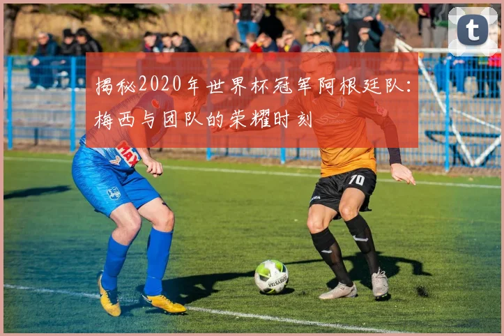 揭秘2020年世界杯冠军阿根廷队：梅西与团队的荣耀时刻