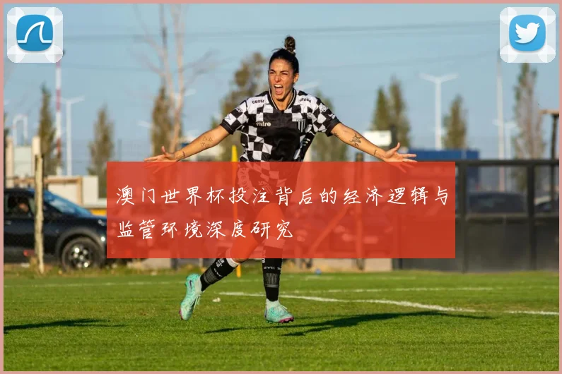 澳门世界杯投注背后的经济逻辑与监管环境深度研究